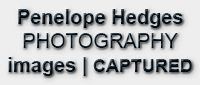 Penelope Hedges Photography